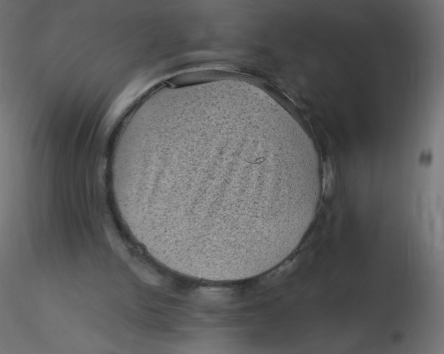 X0000116610150200912312125