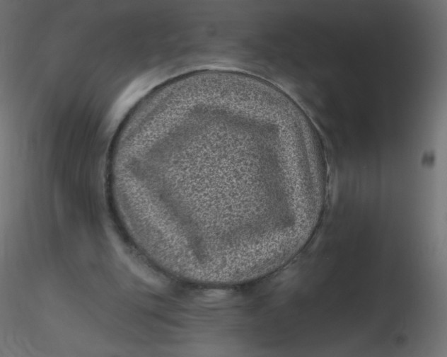 X0000116610151200912312125