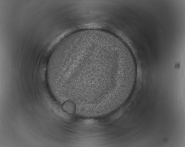 X0000116610153200912312125