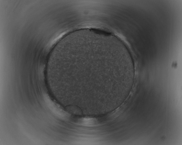 X0000116610154200912312125