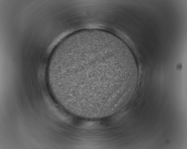 X0000116610155200912312125