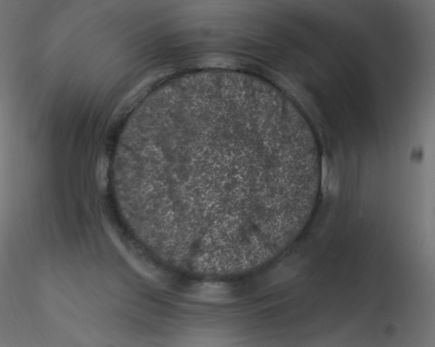 X0000116610157200912312125