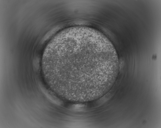 X0000116610158200912312125