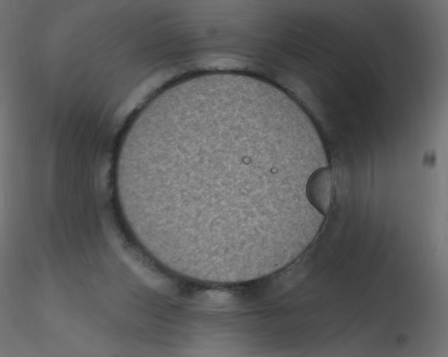 X0000116610159200912312125