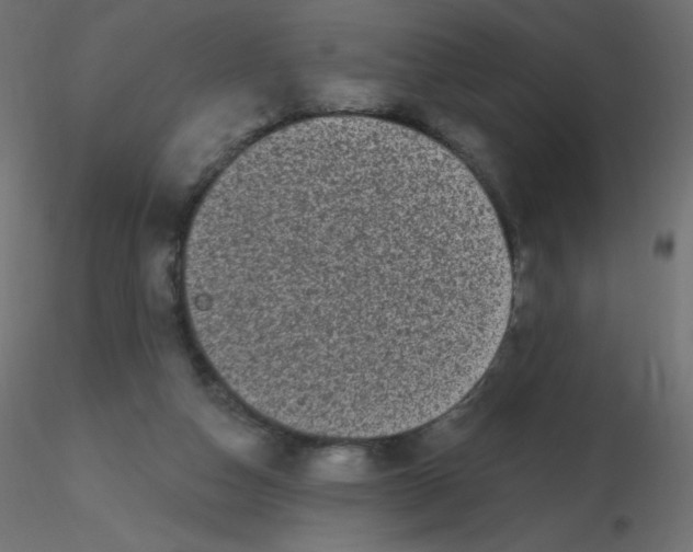 X0000116610162200912312125