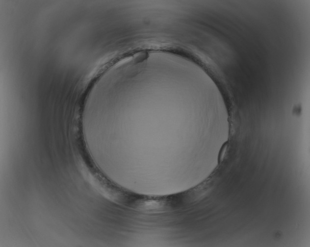 X0000116610163200912312125