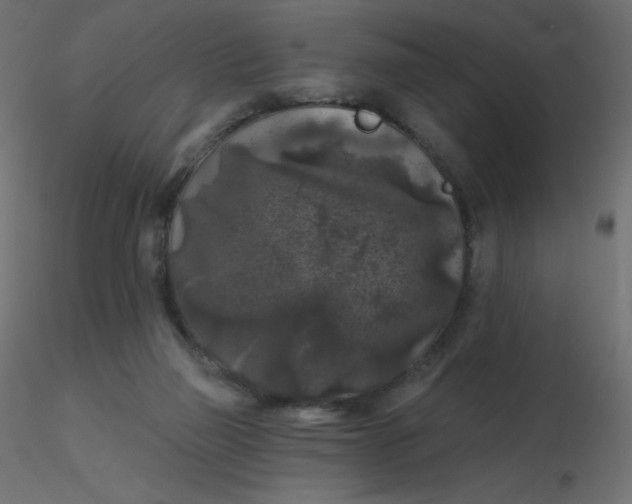 X0000116610165200912312125