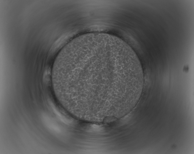 X0000116610166200912312125