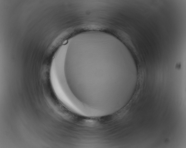 X0000116610167200912312125