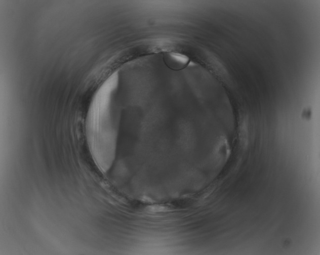 X0000116610169200912312125