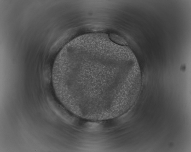 X0000116610170200912312125