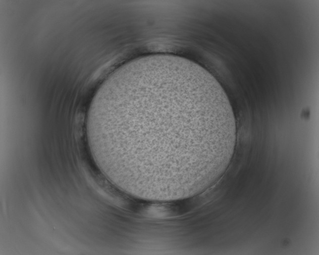 X0000116610171200912312125