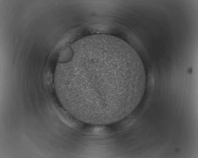 X0000116610173200912312125