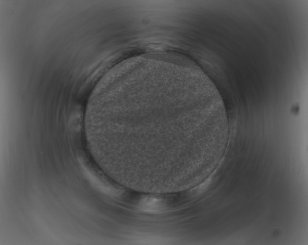 X0000116610174200912312125