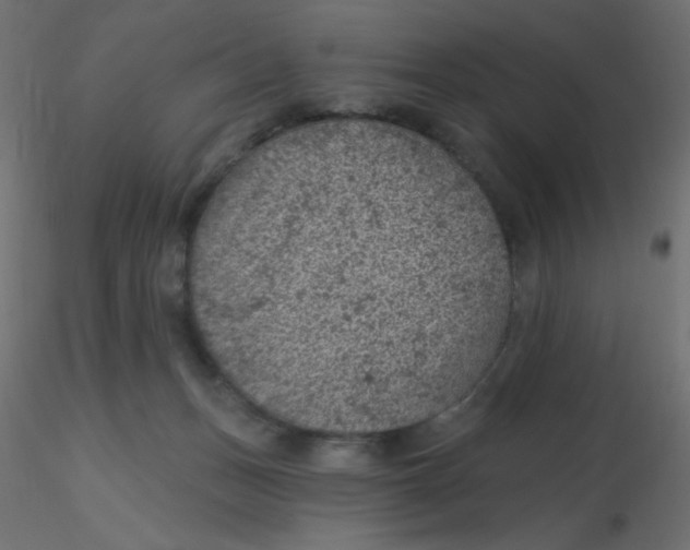 X0000116610175200912312125