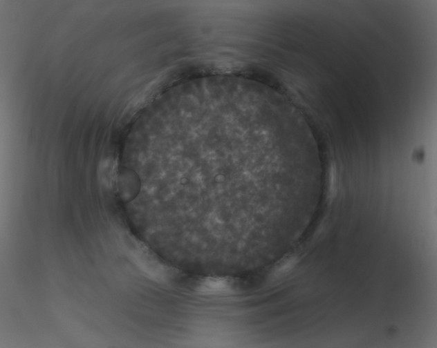 X0000116610177200912312125