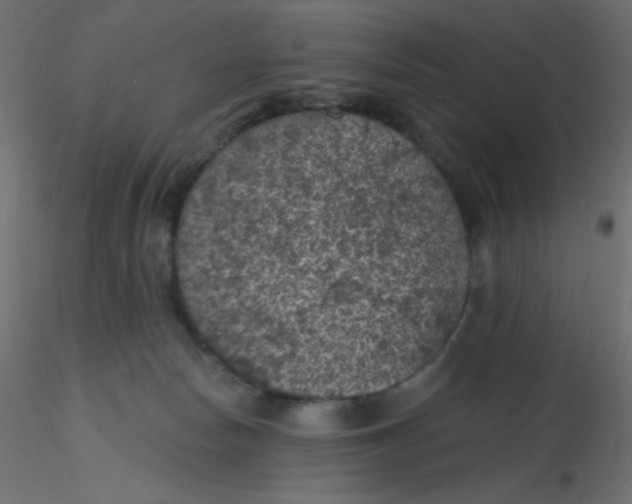 X0000116610178200912312125