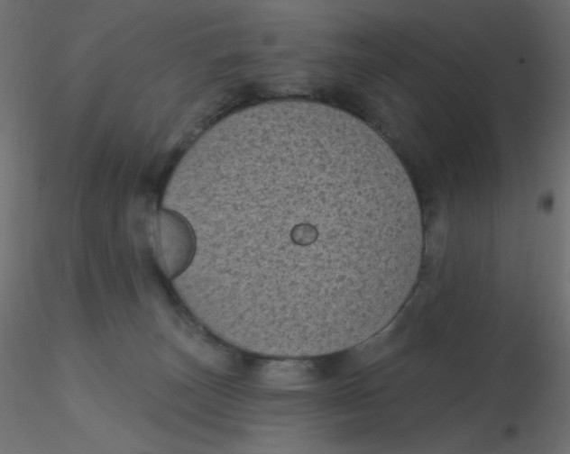 X0000116610179200912312125