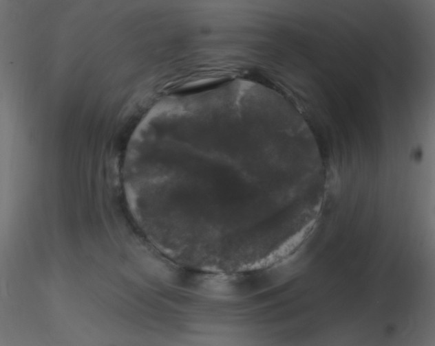 X0000116610182200912312125