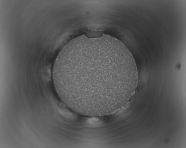 X0000116610183200912312125