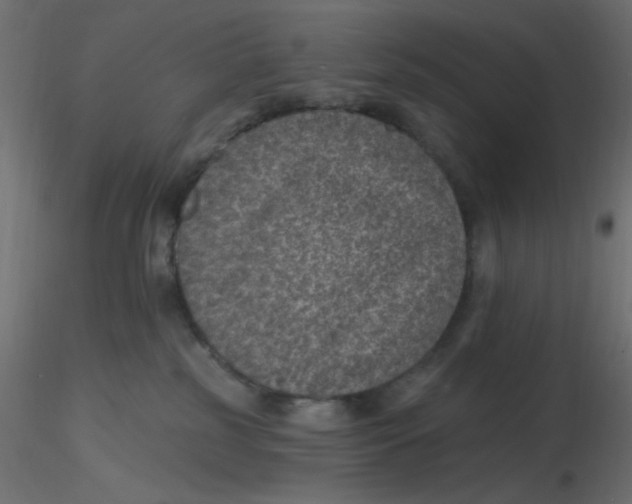 X0000116610185200912312125