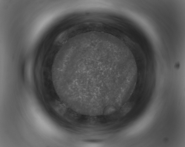 X0000116610189200912312125