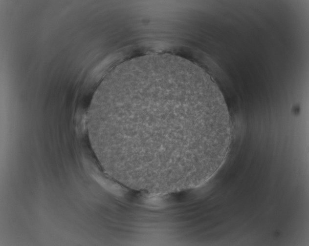 X0000116610191200912312126