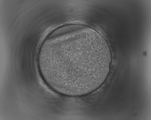 X0000116610193200912312125