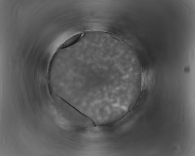 X0000116610195200912312125