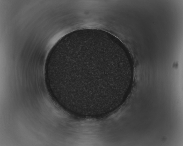 X0000116610196200912312125