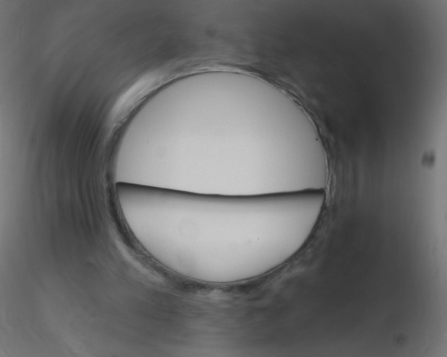 X0000116610197200912312125