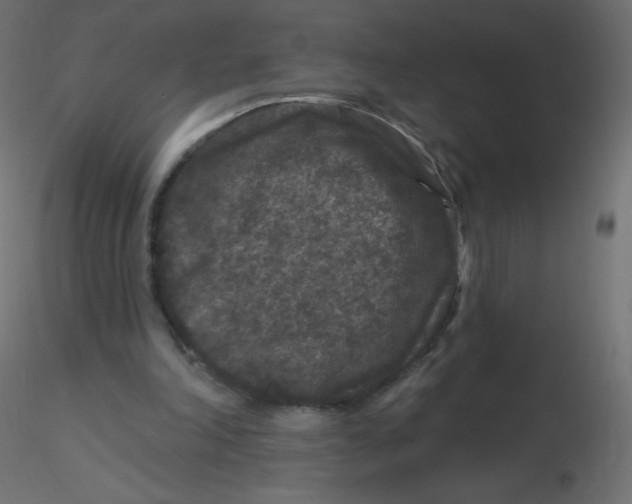 X0000116610198200912312125