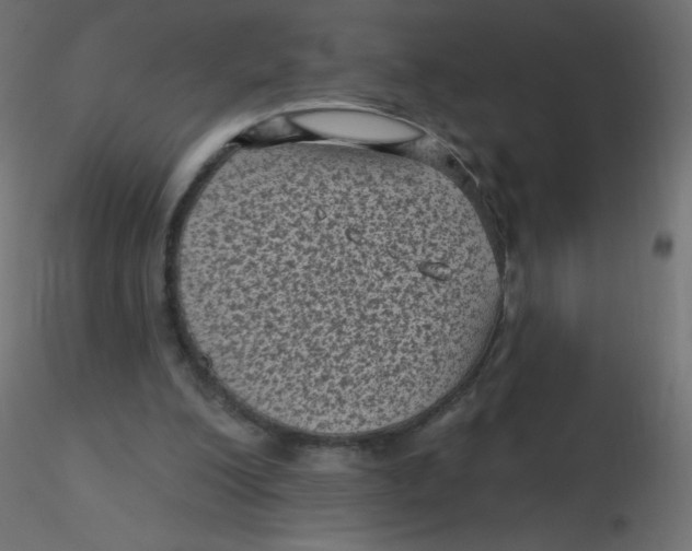 X0000116610200200912312125