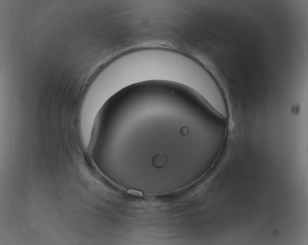 X0000116610201200912312125