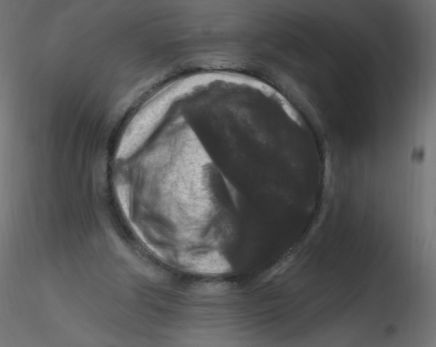 X0000116610202200912312125