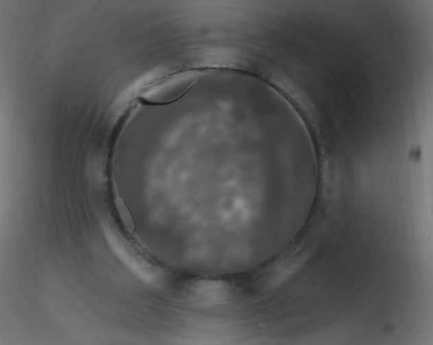 X0000116610203200912312125