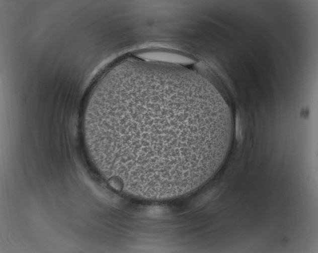 X0000116610204200912312125