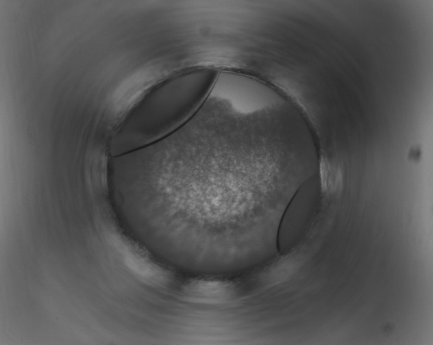 X0000116610205200912312125