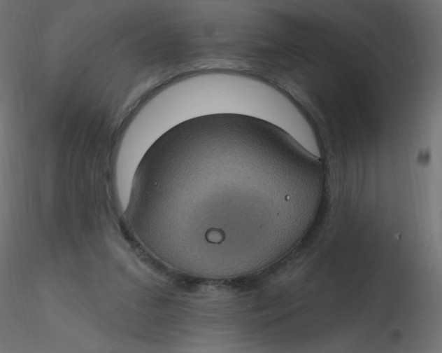 X0000116610207200912312125