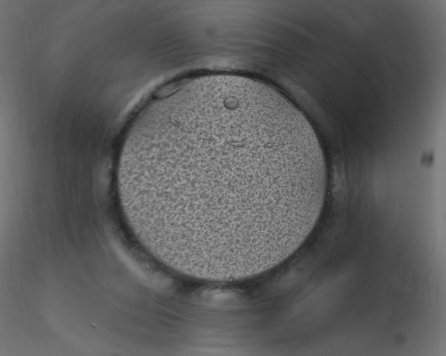 X0000116610208200912312125