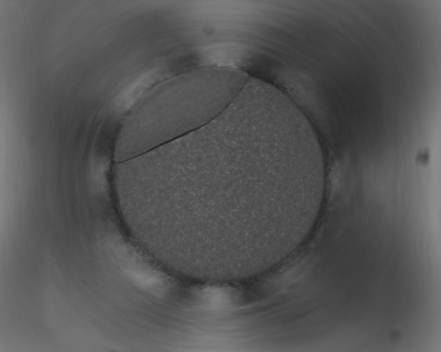 X0000116610209200912312125