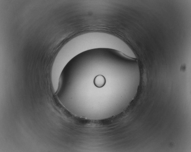 X0000116610211200912312125