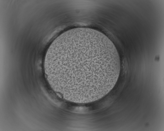 X0000116610212200912312125