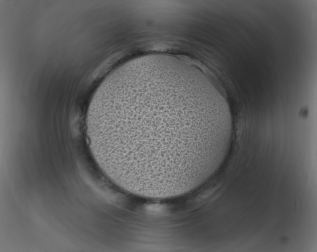 X0000116610216200912312125