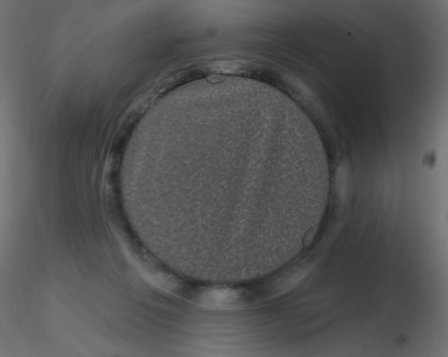 X0000116610217200912312125