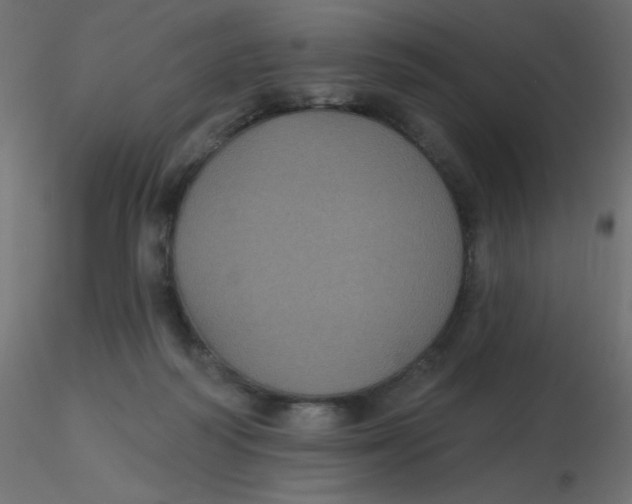 X0000116610218200912312125