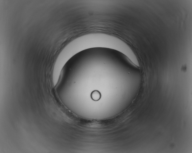 X0000116610219200912312125