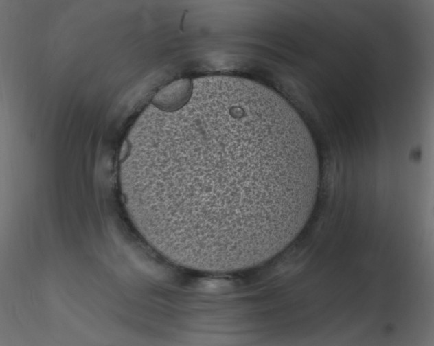 X0000116610220200912312124