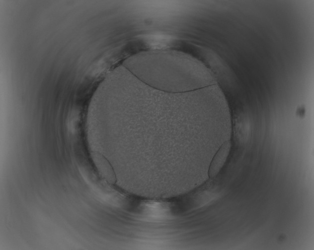 X0000116610221200912312124