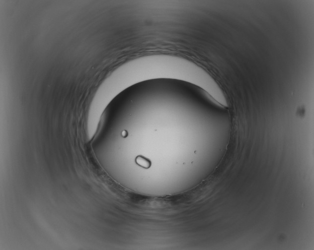 X0000116610223200912312124